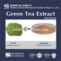 98% powdered polyphenol for green tea extract capsules